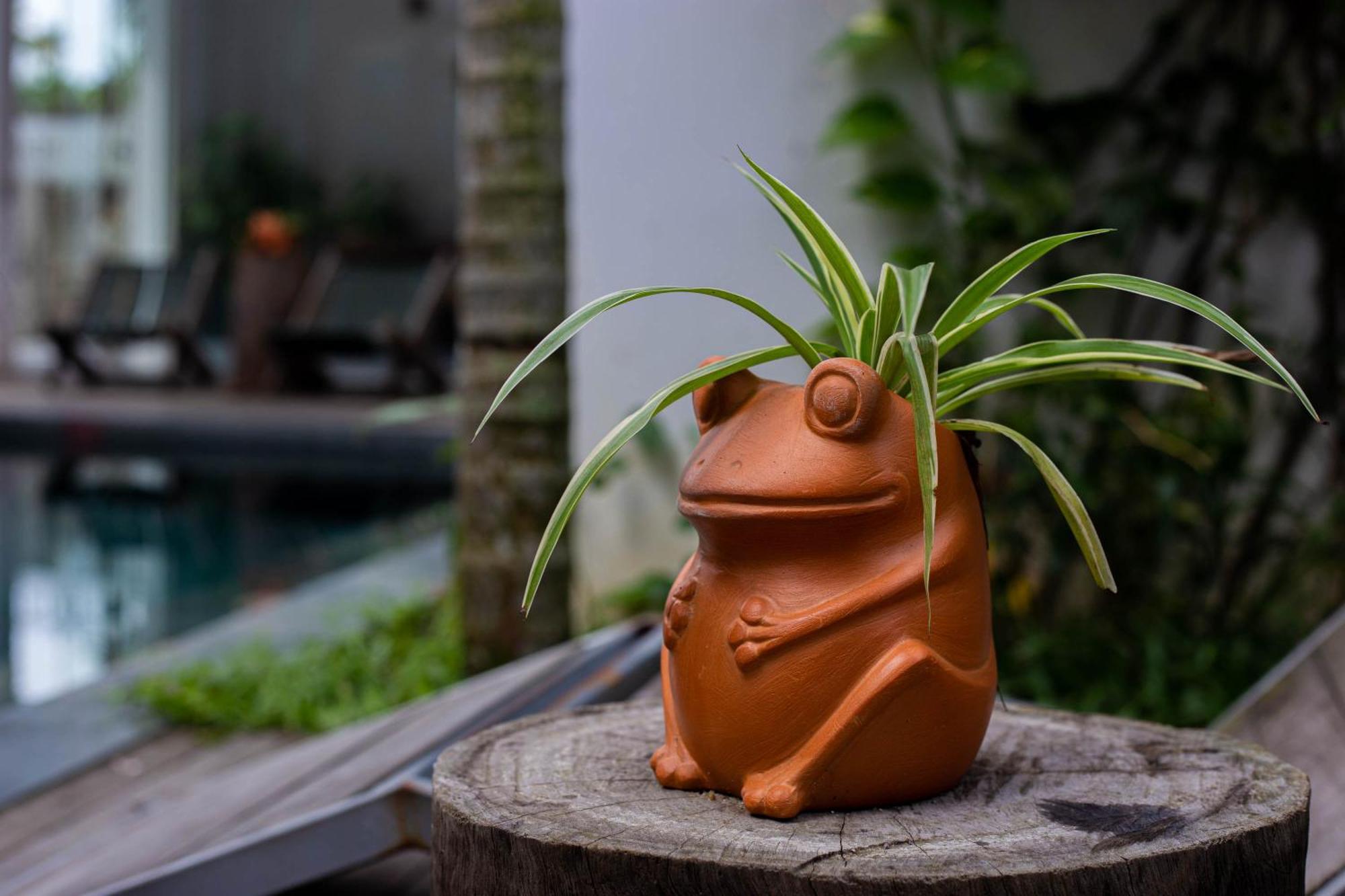 Hoi An Fairy Garden Villa Bagian luar foto